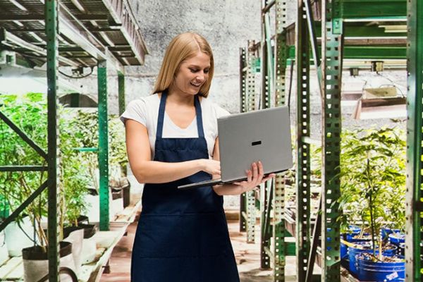 cannabis curing information | weed tech for commercial cannabis businesses | woman holding computer in cannabis greenhouse