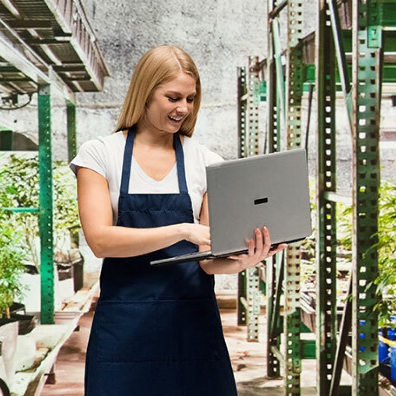cannabis curing information | weed tech for commercial cannabis businesses | woman holding computer in cannabis greenhouse