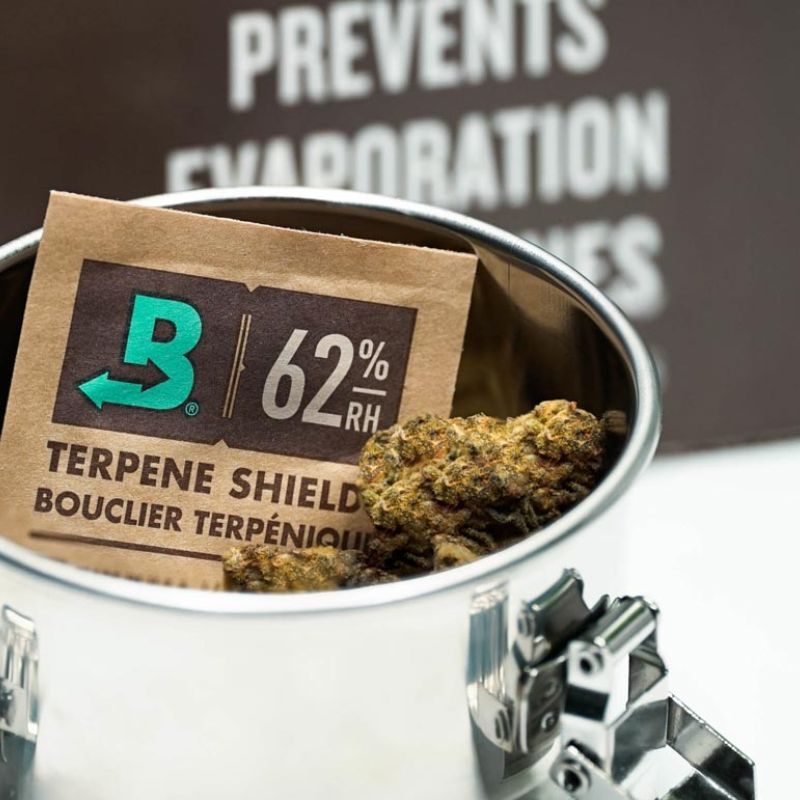 best stash jar | cvault jar with cannabis inside