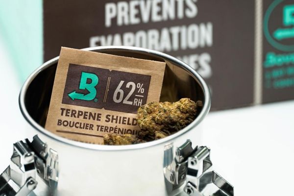 best stash jar | cvault jar with cannabis inside