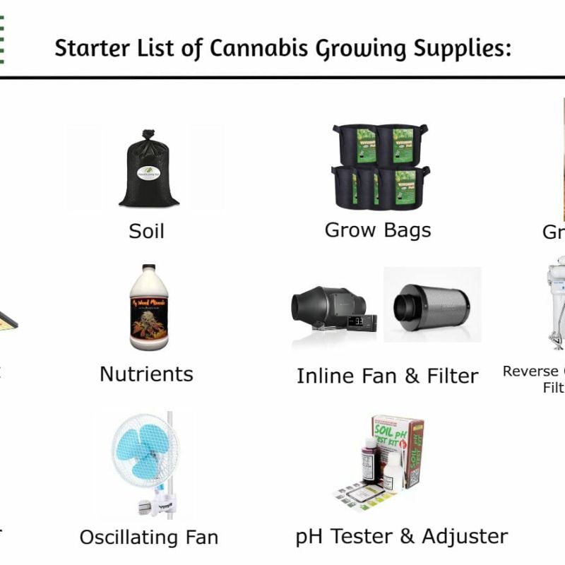 home cannabis growing | home cannabis growing supplies list