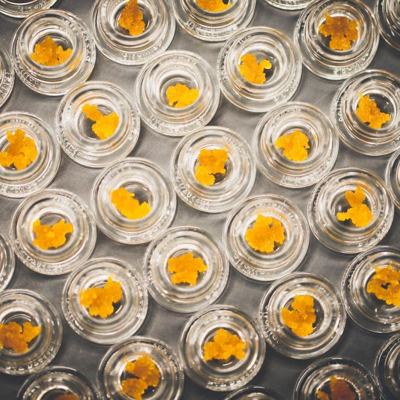 cannabis extraction machines | dab oil
