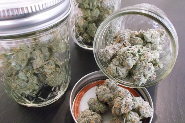 cannabis drying techniques | cannabis in jars