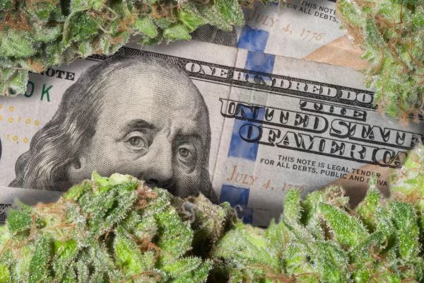 the marijuana policy project | hundred dollar bill in marijuana